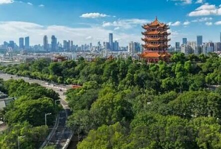 星空体育平台app-星空体育平台app，重塑体育观赛体验的数字化先锋